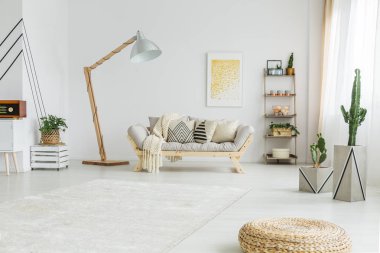 Modern oda bitkilerde