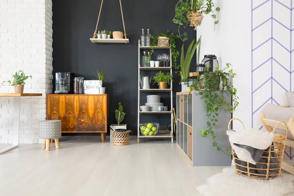 Chambre avec mobilier et plantes — Photo