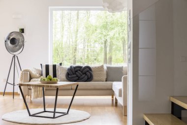 Kanepe üzerinde şirin yastıklar