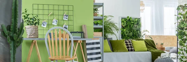 Garten im Zimmer — Stockfoto