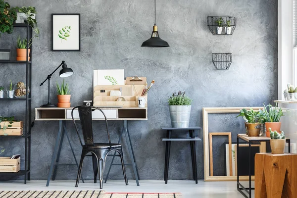 Planten in vintage ambachtelijke studio — Stockfoto