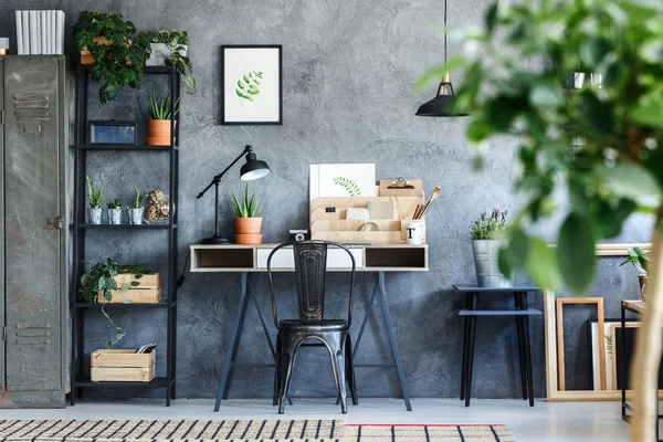 예술적 식물 사무실 룸 인테리어 — 스톡 사진