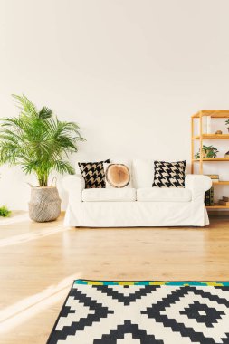 Kanepe oturma odasında