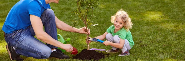 Uomo e ragazzo piantare un albero — Foto Stock