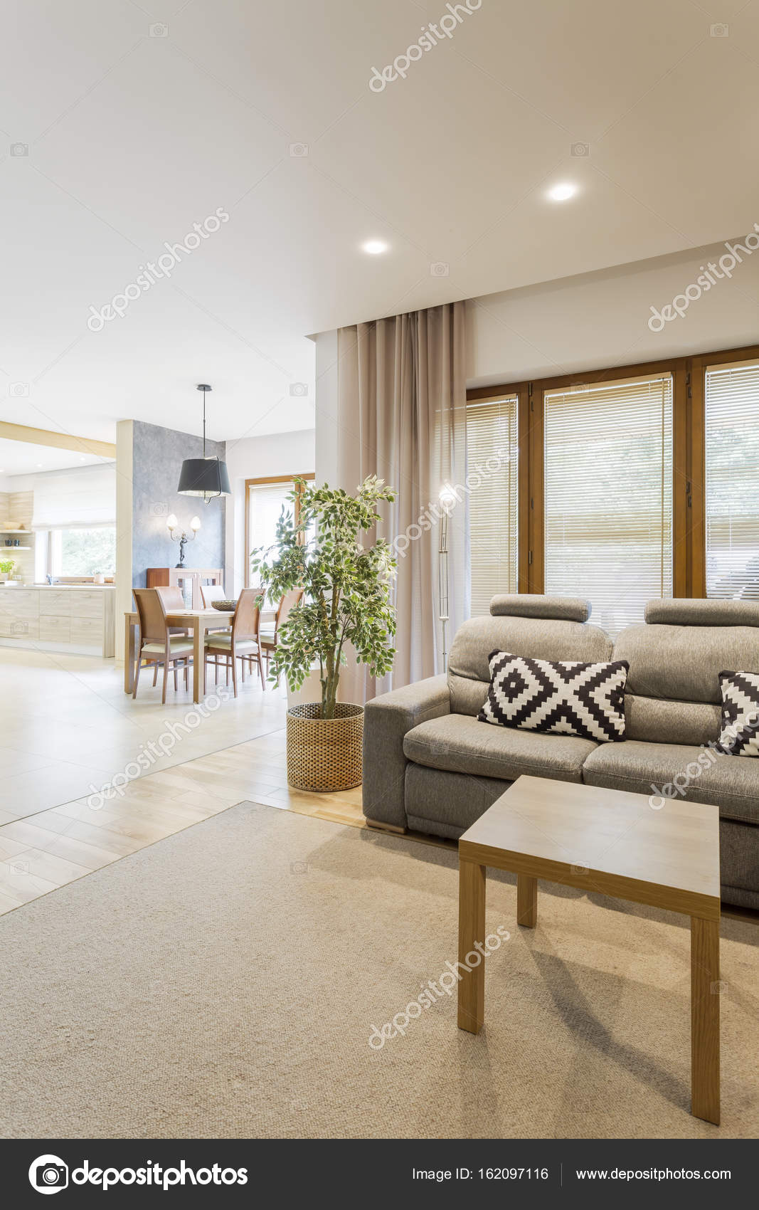 Lichte woonkamer met de keuken — Stockfoto © photographee.eu #162097116 Lichte woonkamer met de keuken — Stockfoto © photographee.eu #162097116