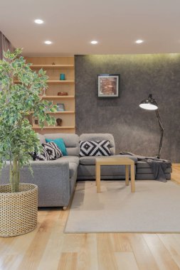 Gri kanepe ile modern oda