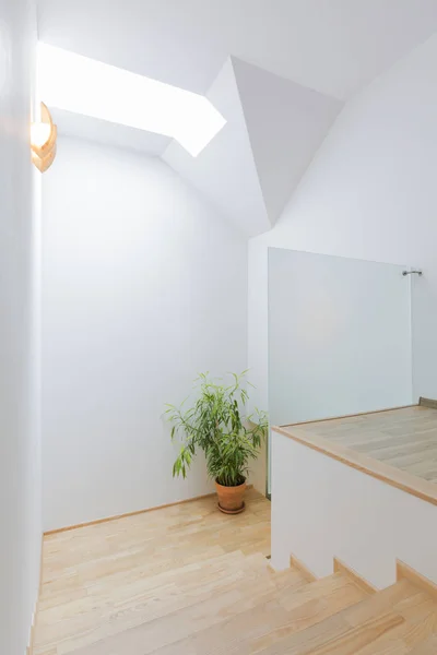 Escalier lumineux minimaliste avec marches en bois — Photo