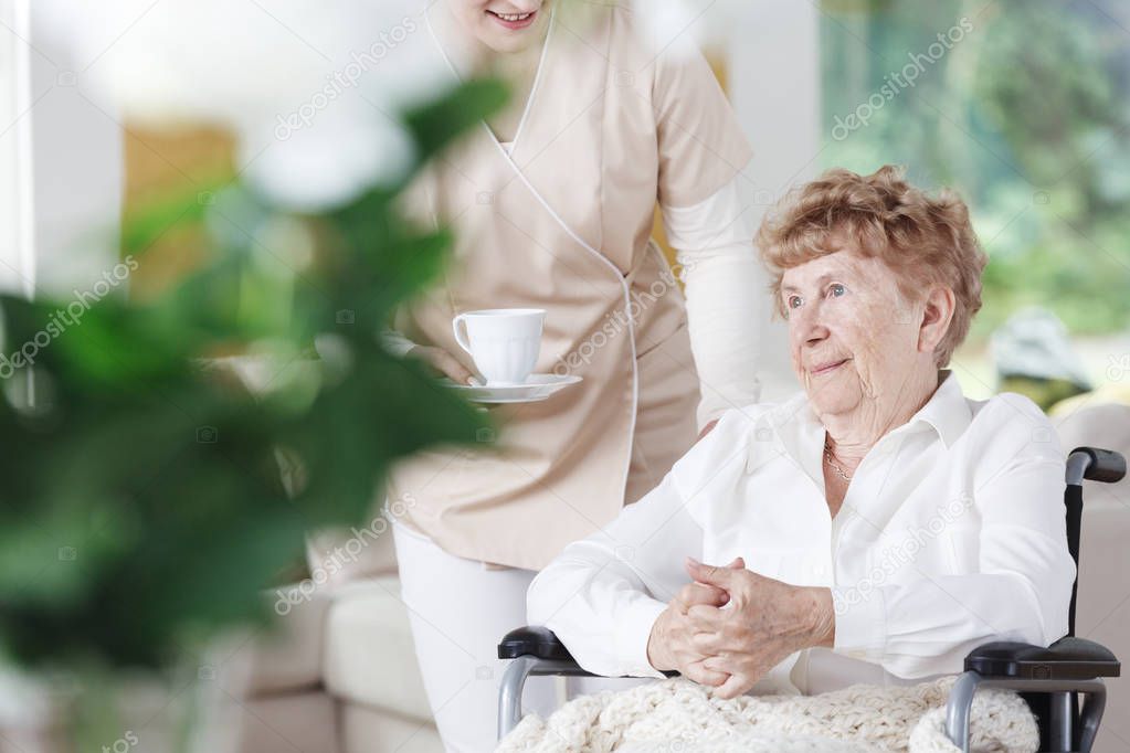 Senior woman sits on wheelhair
