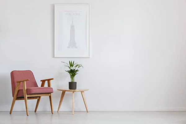 Potted plant on table — Stock Photo, Image