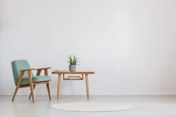 Стол с растениями и книгами — стоковое фото