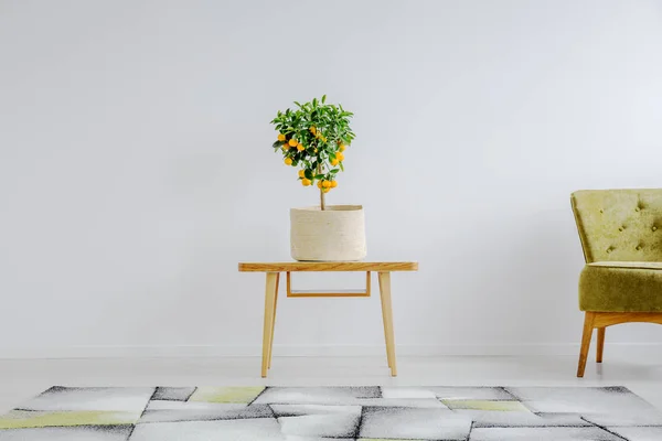 Albero da frutto in vaso da fiori ecologico — Foto Stock