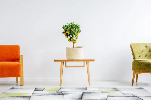 Symmetrisch gerangschikt stoelen — Stockfoto