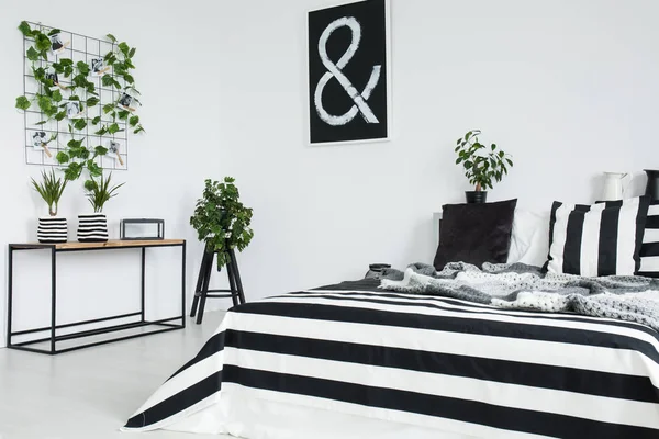 Черная, белая и полосатая подушка — стоковое фото