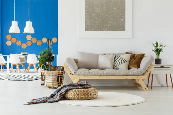 Sofa, Pflanzen und blaue Wand — Stockfoto