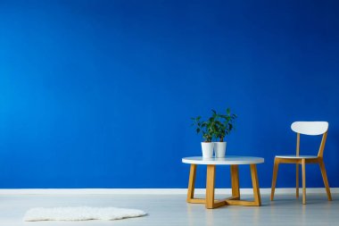 Geniş iç oturma odası