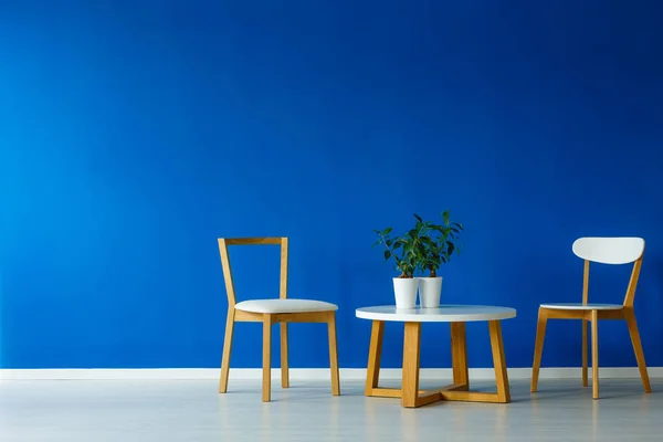 Minimalist SCANDI tarzı oturma odası — Stok fotoğraf