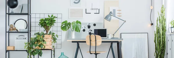 Interior con escritorio y monstera — Foto de Stock