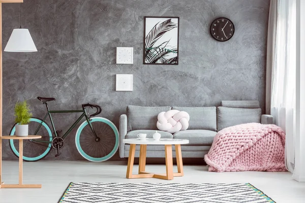 Růžová deka v útulném obývacím pokoji — Stock fotografie