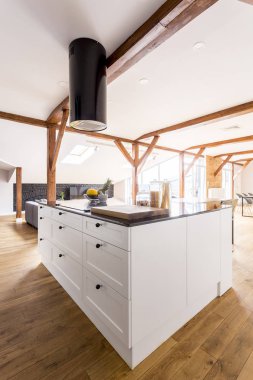 Mutfak Island için yapılan ferah daire