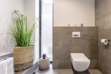 Minimalist tuvalet tasarımı