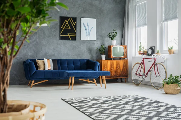 Cupboard with TV and plants — Stock Photo, Image