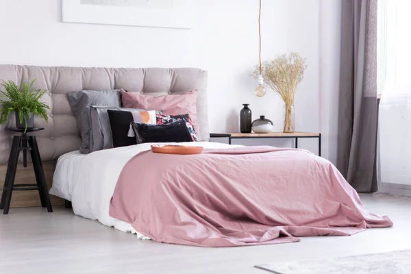 Простая спальня с папоротником — стоковое фото