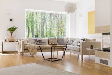 Bonsai ağacı örgülü sepet içinde