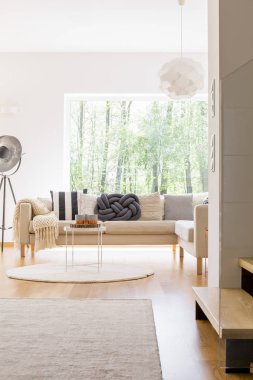 Rahat kanepe ve tasarlanmış lamba