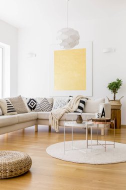 Örgülü sepet içinde bitki