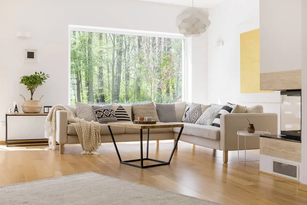 Bonsai ağacı örgülü sepet içinde