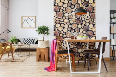 Kış tasarımı ile İskandinav daire