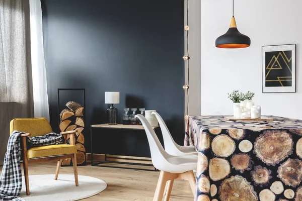 Meubles scandinaves intérieur — Photo