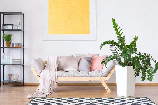 Dekoratif bitki ile Oda