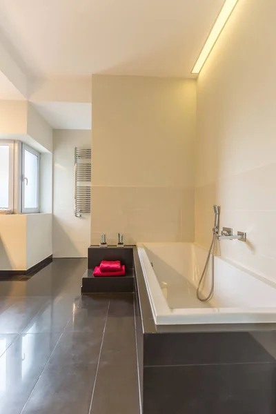 Modern banyo büyük banyo — Stok fotoğraf