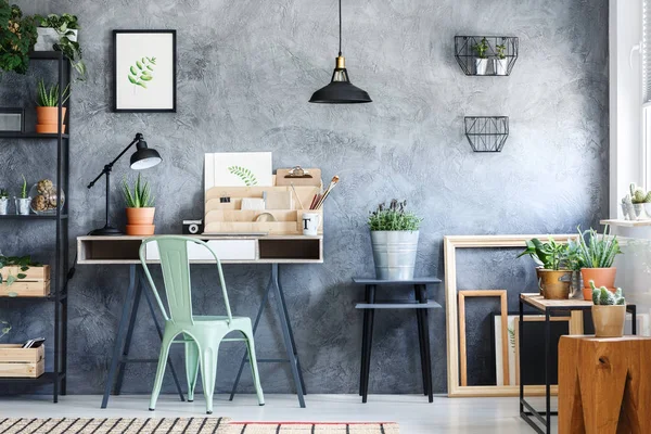 Kaktüs seramik tencerede