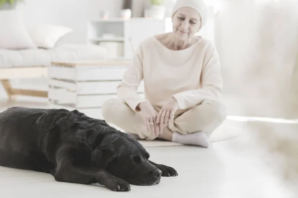 Kobieta z raka i pies — Zdjęcie stockowe