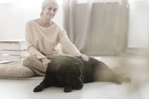 Cane aiutare la donna con il cancro — Foto Stock