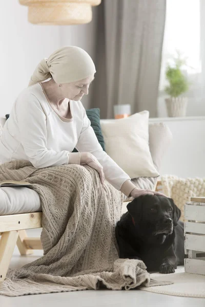 Zieke vrouw strelen hond assistent — Stockfoto