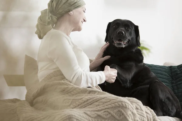 Hond geven paw zieke vrouw — Stockfoto