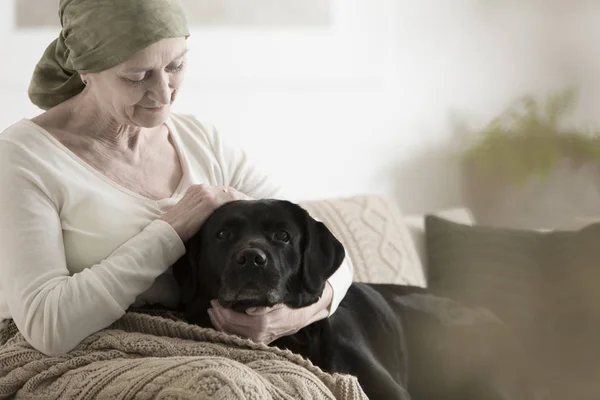 Бабушка с поглаживающей собакой в платке — стоковое фото