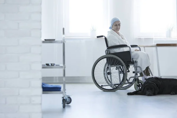 Kobieta na wózku inwalidzkim i pies — Zdjęcie stockowe