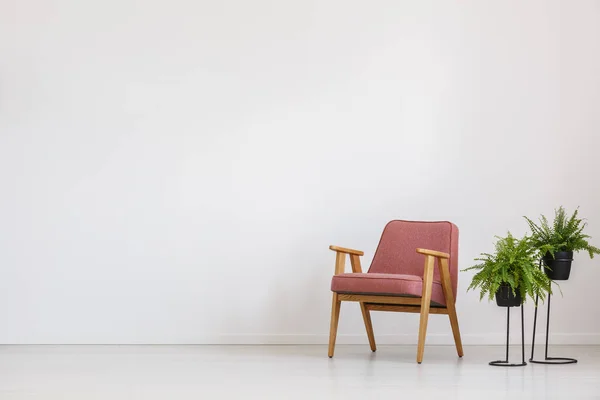 Fauteuil rose et fougères — Photo