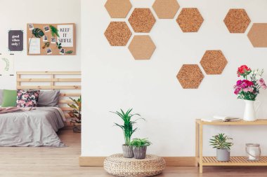 Bitkiler ile eko yatak odası