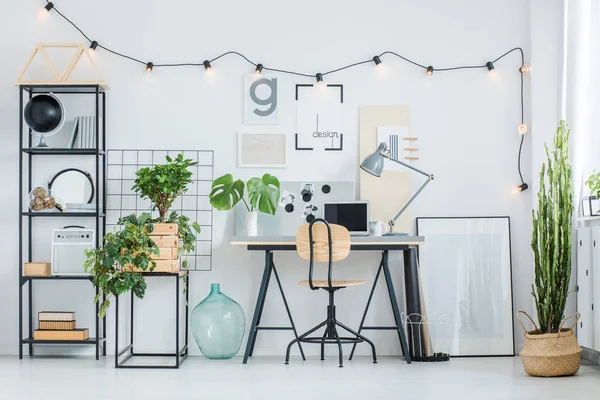 Bureau à domicile créatif avec des plantes — Photo