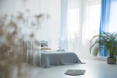 Gri Kürk yatak odası iç