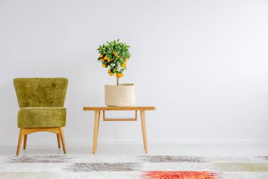 Masada portakal ağacı