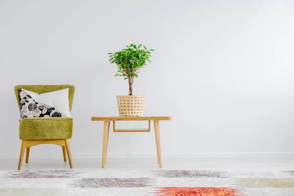 Planta em vaso em cesto — Fotografia de Stock