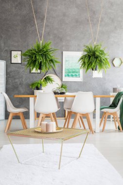 Eğrelti otları ile düz iç