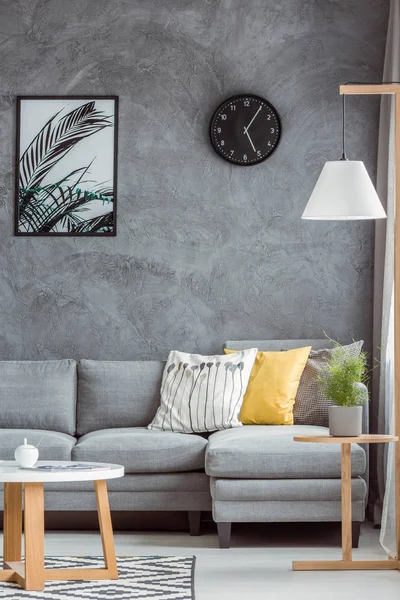 Arredamento elegante casa con parete grigia — Foto Stock