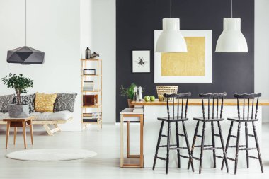 Rustik tarzı geniş iç